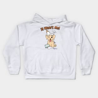 Funny golden retriever got caught stealing ice cream Kids Hoodie